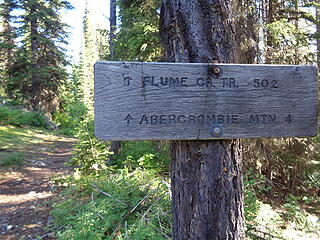 Flume Creek Trail on the west side of Abercrombie Mtn.