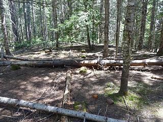 Site of schoolhouse. Only a few footings and bricks remain.