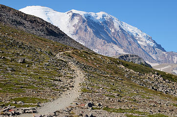 Wonderland Trail near Sunrise