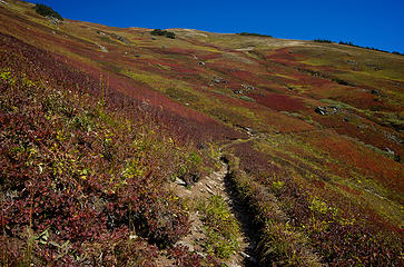 Big [autumnal] colors.