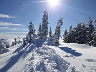 deep snow on top