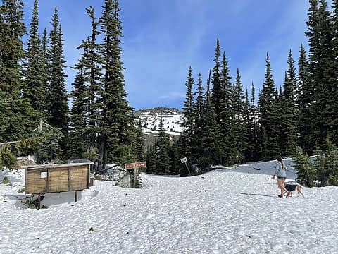 Harts Pass snow level and looking up toward Slate Peak