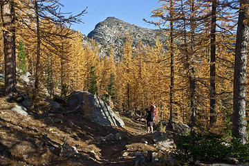 On the Boundary Trail, part of the Pacific Northwest Trail, Pasayten Wilderness, WA