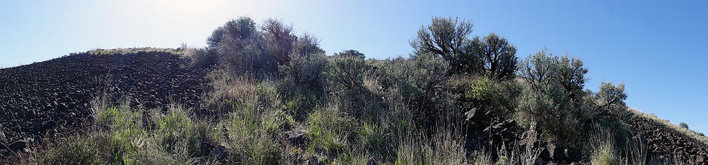 No way around the basalt piles.