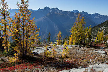 Toward Cashmere and Stuart