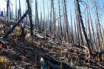 descending the burn west of saska pass