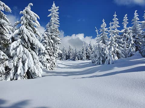 Skiing untracked snow atop Amabilis Mountain