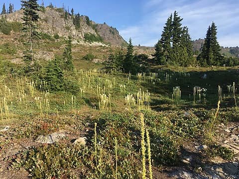 27_Bear Grass above Marmot Lake