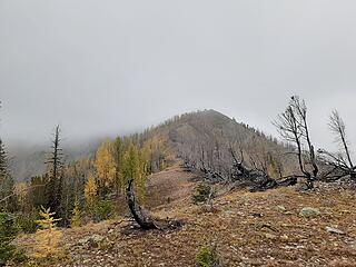 Socked in on the NW ridge of Many Trails
