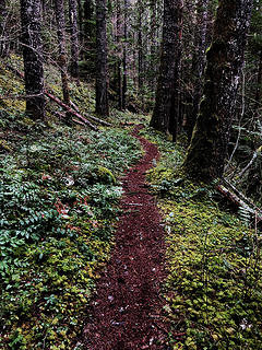 Necklace Valley Trail 1/15/19