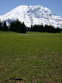 Rainier over GP