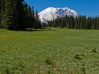 start of Grand Park. 
Lk Eleanor trail to Grand Park MRNP 7/17/10