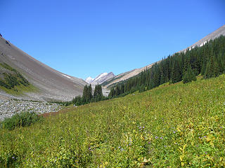 Moose Pass ahead