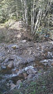 Creek on South Fork Nooksack on PNT