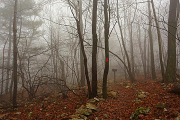 Mailbox on the 500km long Mid-State Trail