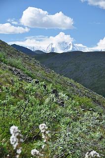 Remote ridge in Alaska Range, for work