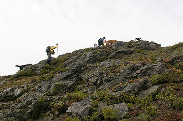 This peak has gone to the dogs....oh, and Dude and Yukon too.