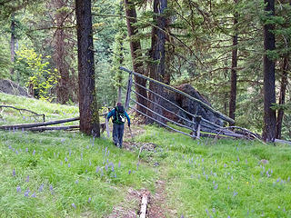 Old gate on North Fork Wolf Ck. Masterfully built and still works with a slight touch of the finger.