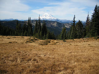 Rainier as seen from upper meadow @ the base of Bismarck Pk.