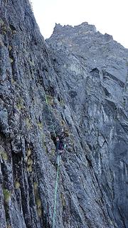 Itai following one of the damp, mossy pitches