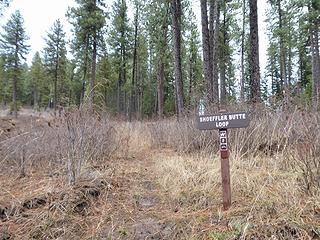 The trail gets narrower here.