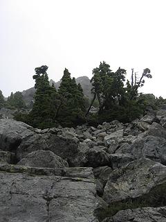 First glance of the summit