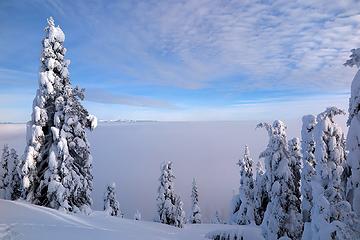 back above the clouds