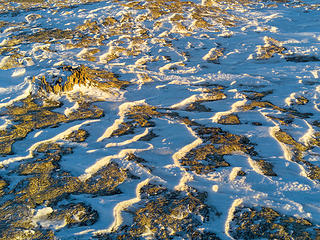 Melting snow patterns