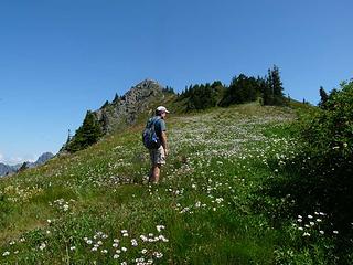 Fields of flowers heading up to Alta