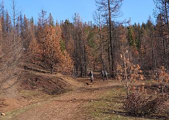 Hiking on the brown road and trees.