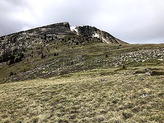 Heading up Sheep