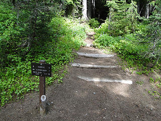 Junction to Burroughs/Sunrise from Glacier Basin trail.