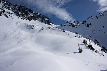 Ascending Snowgrass