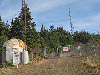 Mandatory photo of "Hiker's Hut" On Tiger 1. 
3 Tiger Mtn Summits, From chirico, through Poo top, 01/22/11