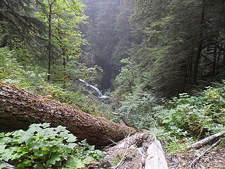 a waterfall in the creek viewable from the trail.