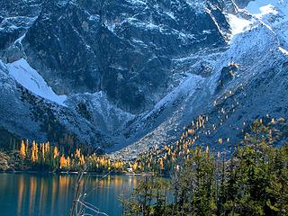 Larch on Lake Colchuck