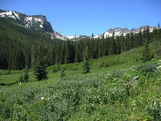 Meadows Along the Creek