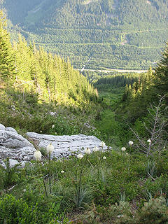 View from the trail