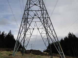 Power lines off of main Tiger road.