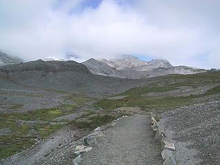 Paradise Glacier Trail around noon, the clearest it got all day.