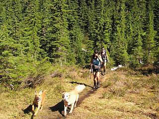 Action photo on the trail