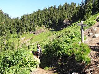 Intersection - right to Tomyhoi Lake and left to Yellow Aster