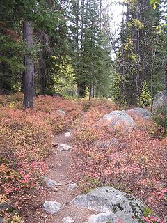 Colors on the way out of the Sawtooths