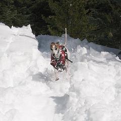 DSD_0486 - Rowena running the glissade