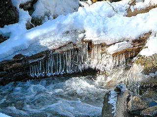 Udderly amazing icicles