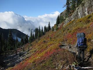 Mount Rainier Wilderness, WA