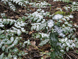 Snow/ice dusting off K3 trail.