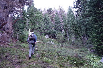 Burned out terrain above Copper Basin