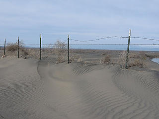 Sand dunes near Moses Lake
