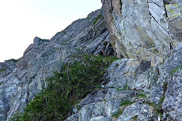 Moderate scrambling up the right side of the gully below a big wall